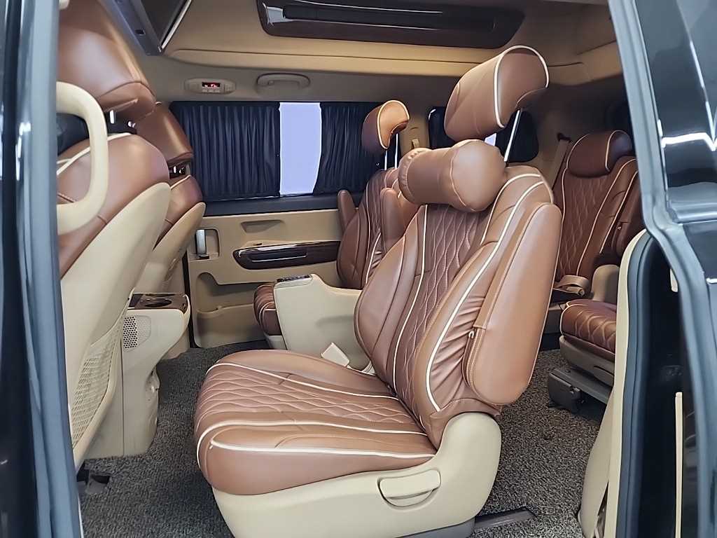 KIA Carnival - Vista 12