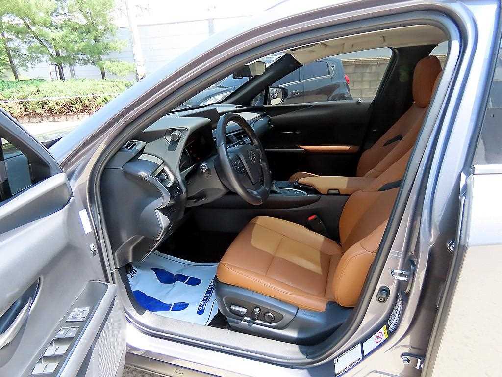 Lexus UX - Vista 5
