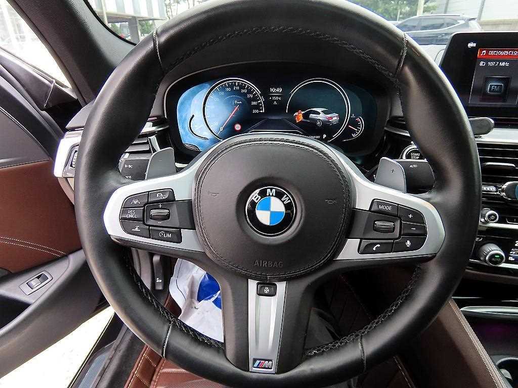 BMW 5 Series - Vista 8