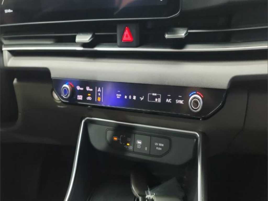KIA Carnival - Vista 11