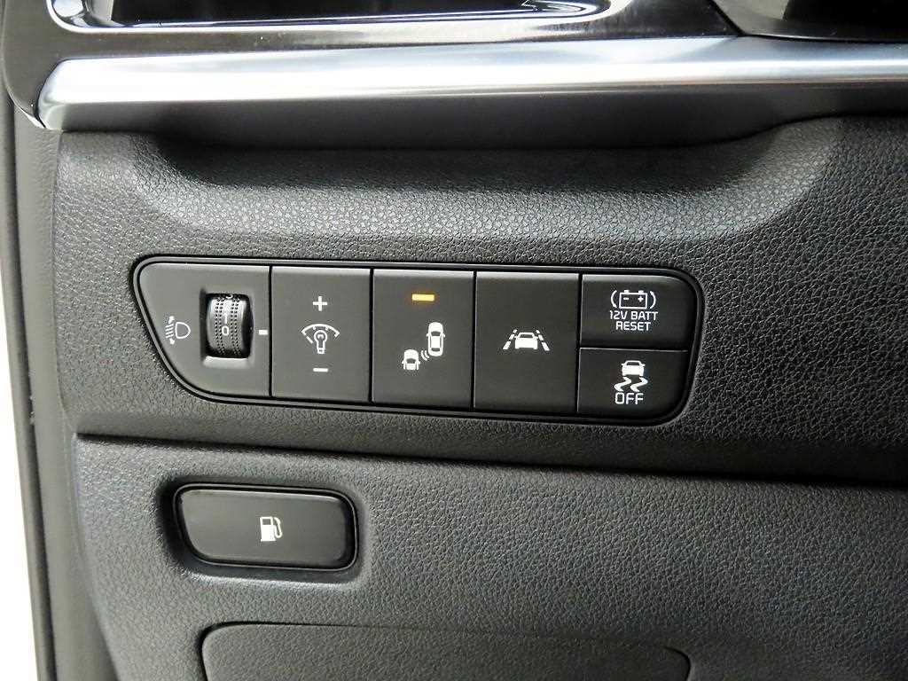 KIA Niro - Vista 12