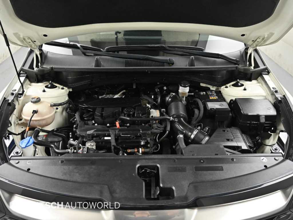 KIA Sportage - Vista 6