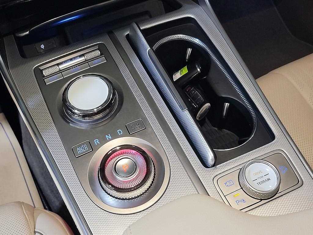 Genesis GV80 - Vista 12