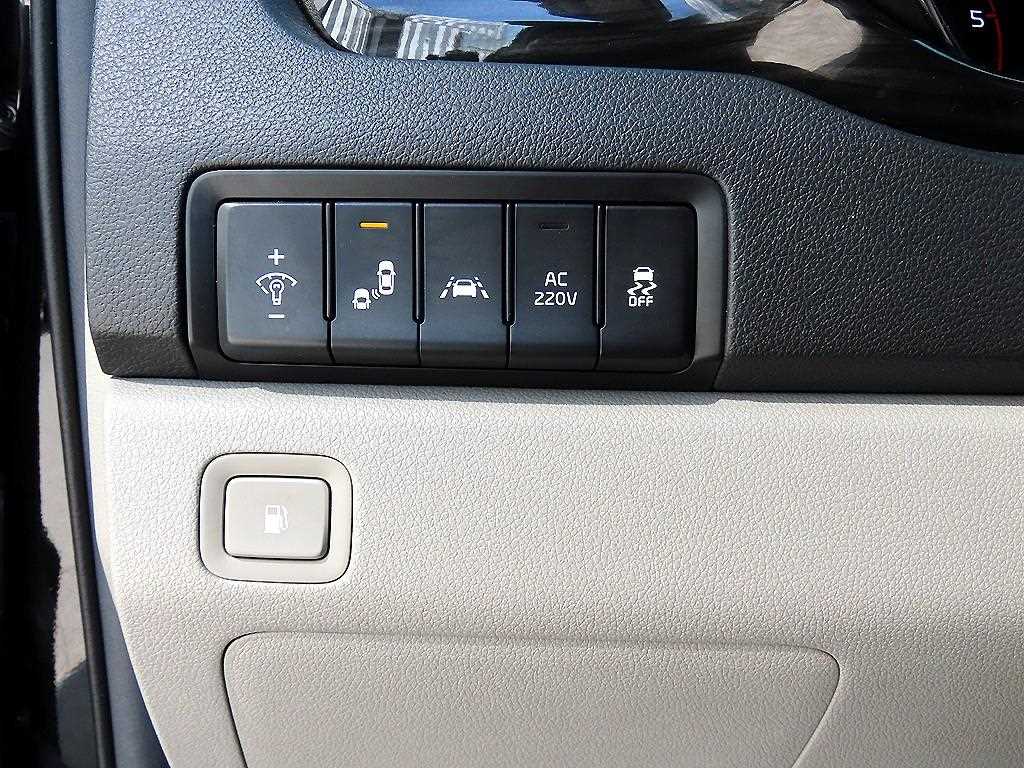 KIA Carnival - Vista 12