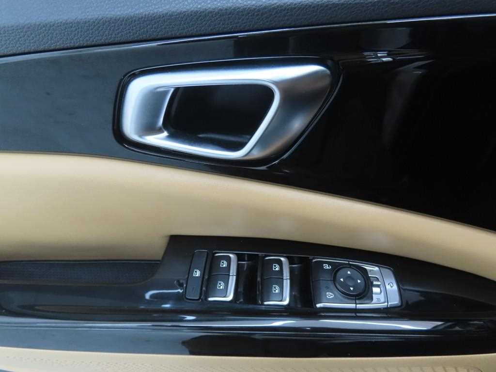 KIA Carnival - Vista 9
