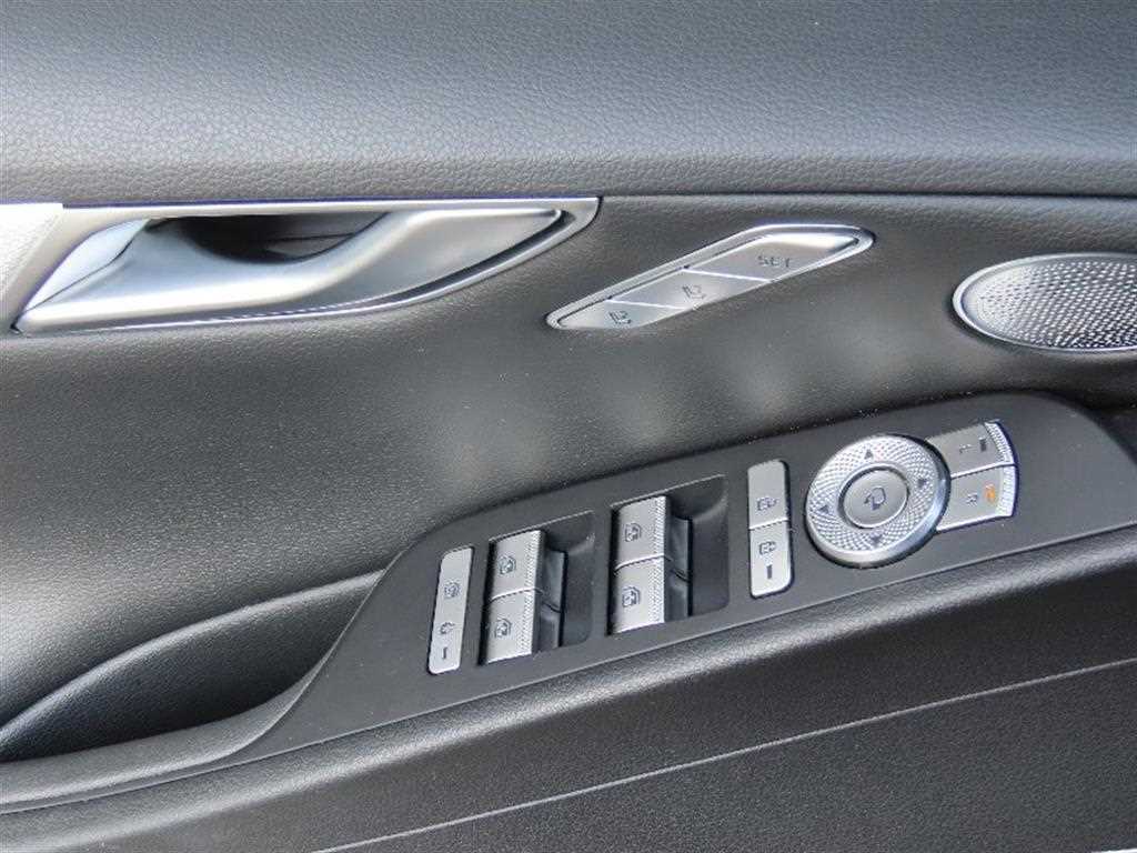 Genesis G80 - Vista 12