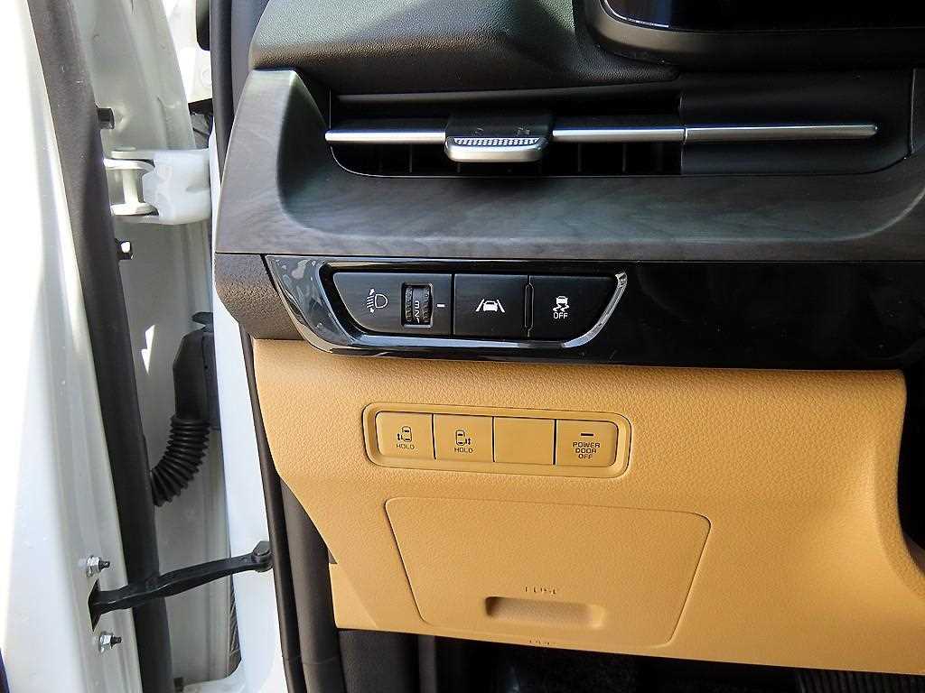 KIA Carnival - Vista 12