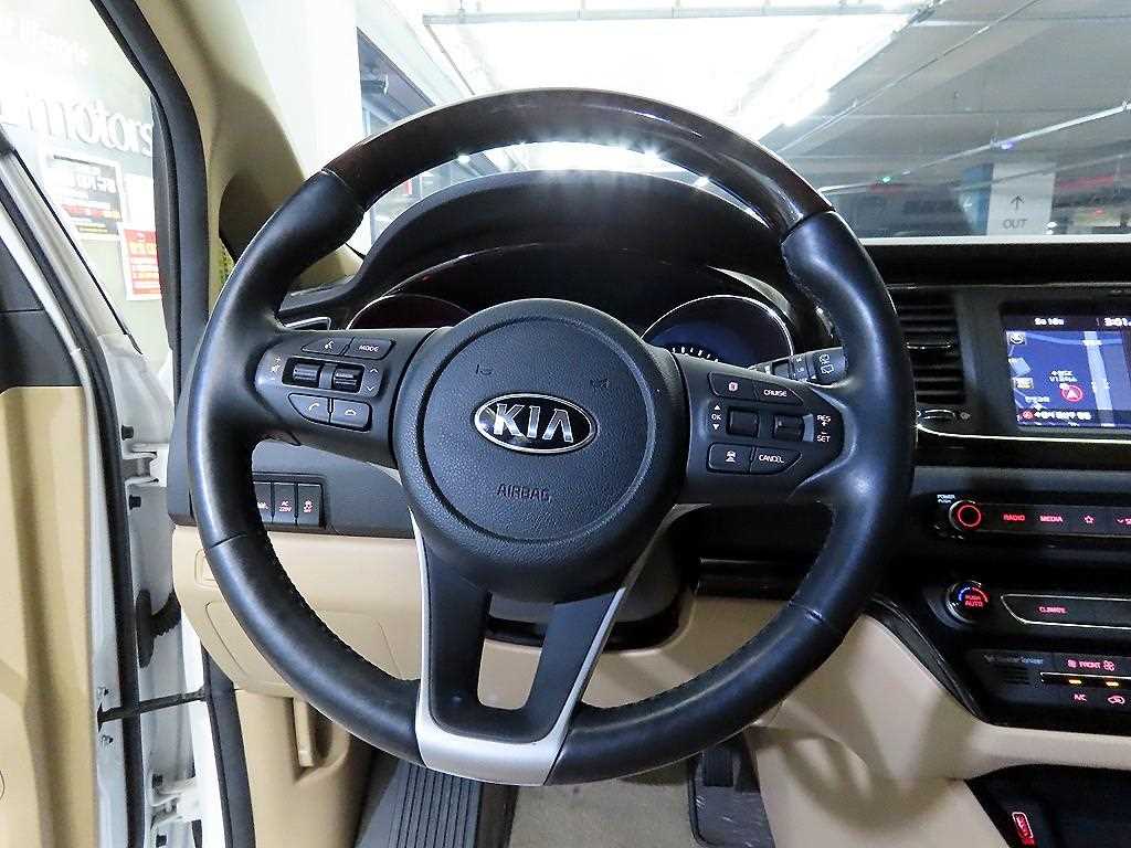 KIA Carnival - Vista 8