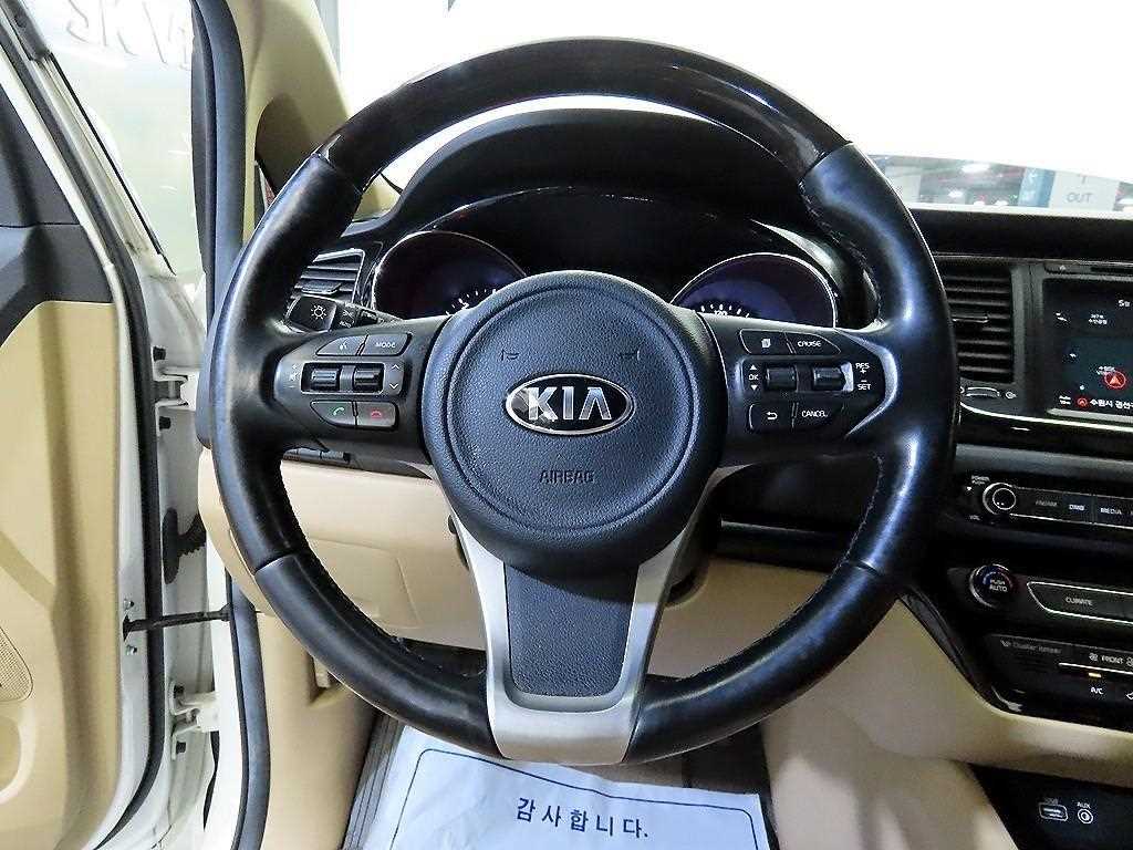 KIA Carnival - Vista 8