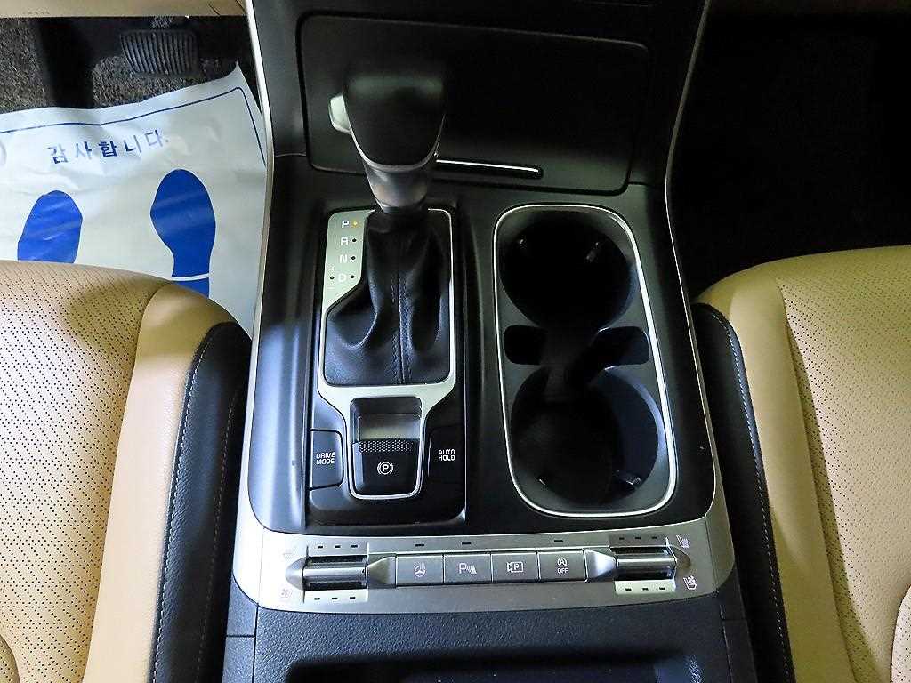 KIA Carnival - Vista 12