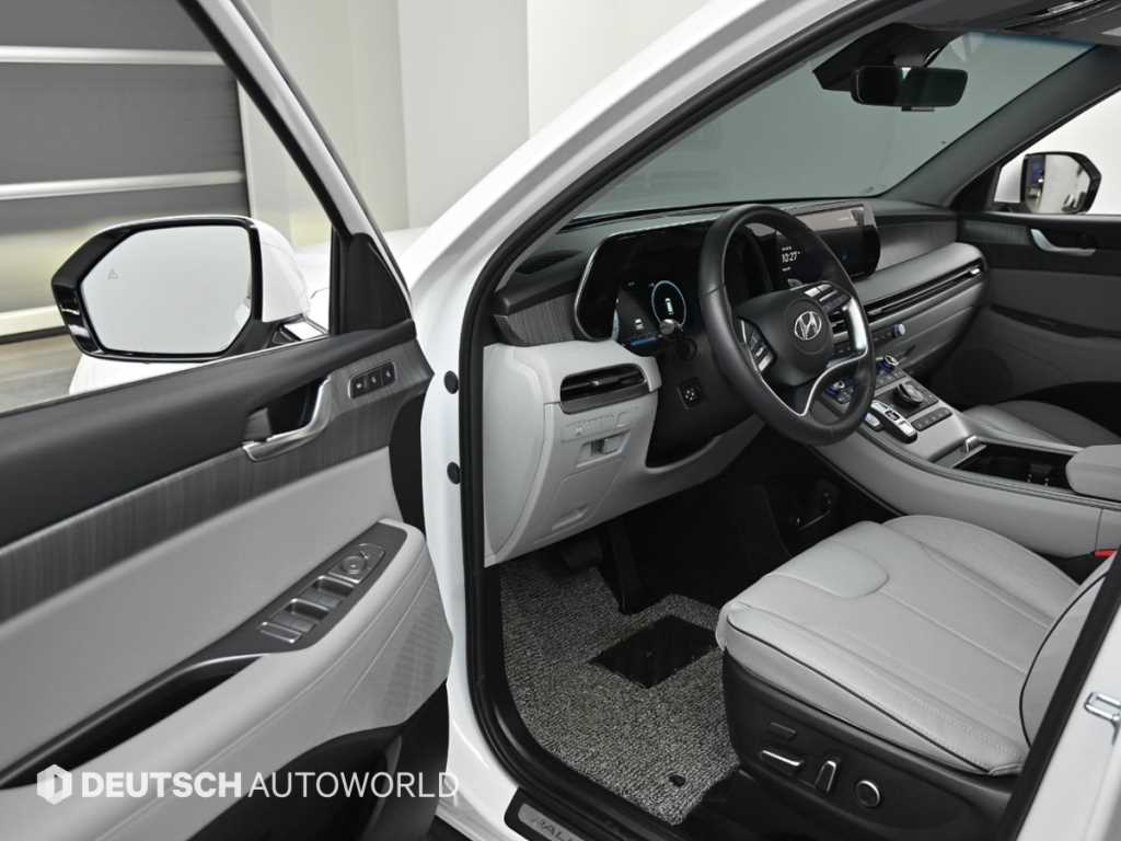 HYUNDAI Palisade - Vista 11