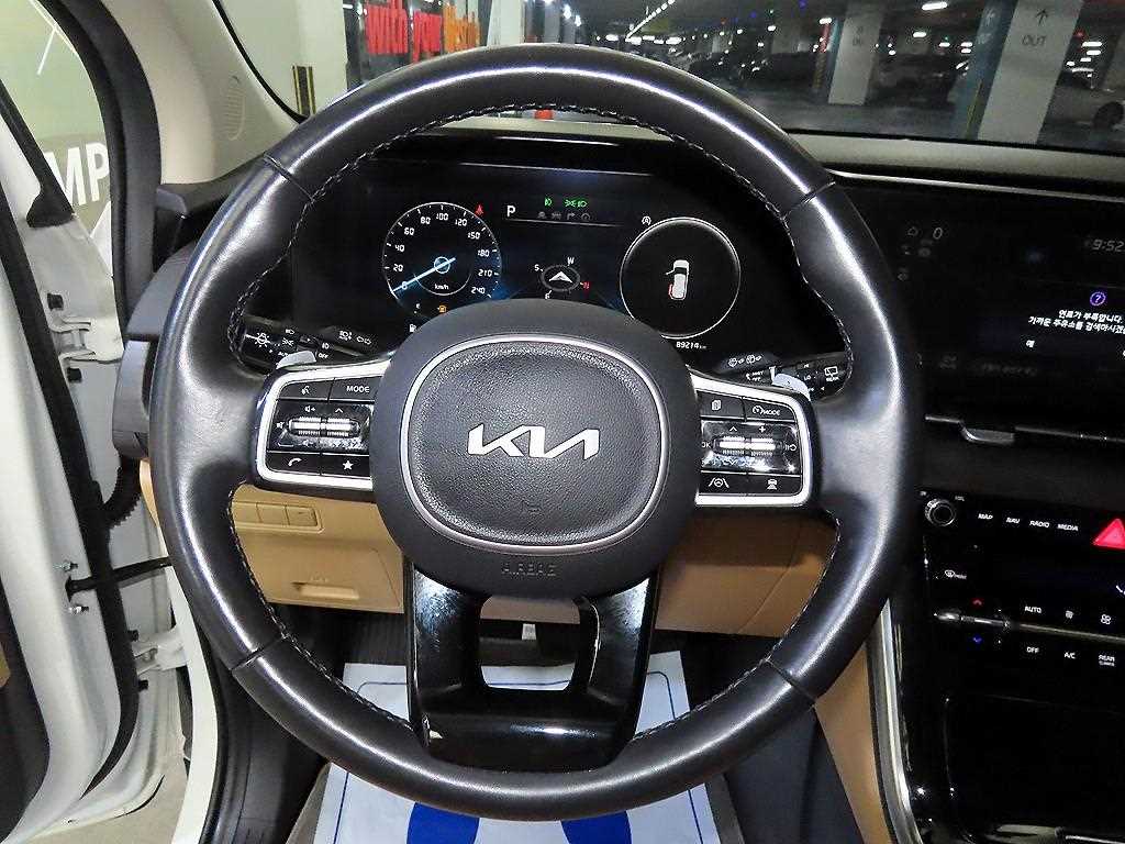 KIA Carnival - Vista 8