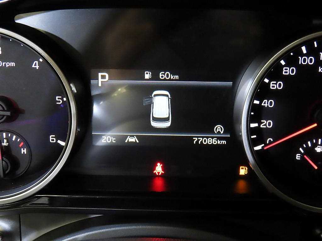 KIA Carnival - Vista 9