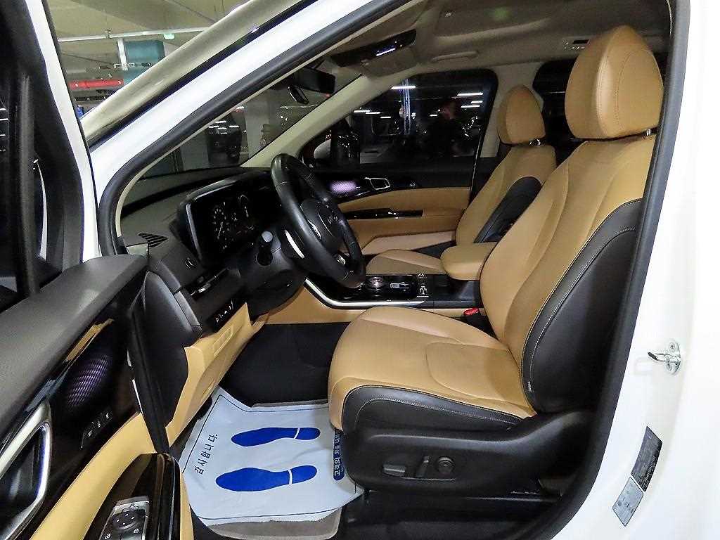KIA Carnival - Vista 6