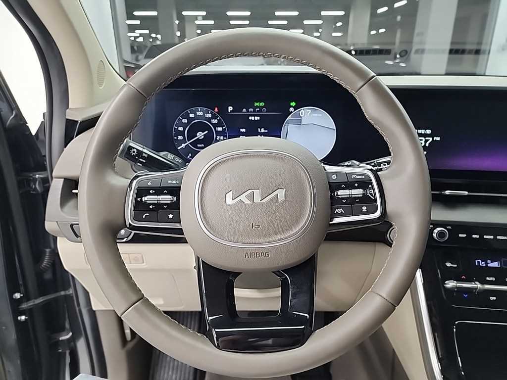 KIA Carnival - Vista 9