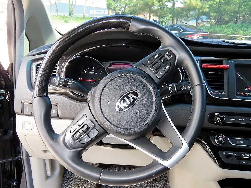 KIA Carnival - Vista 8