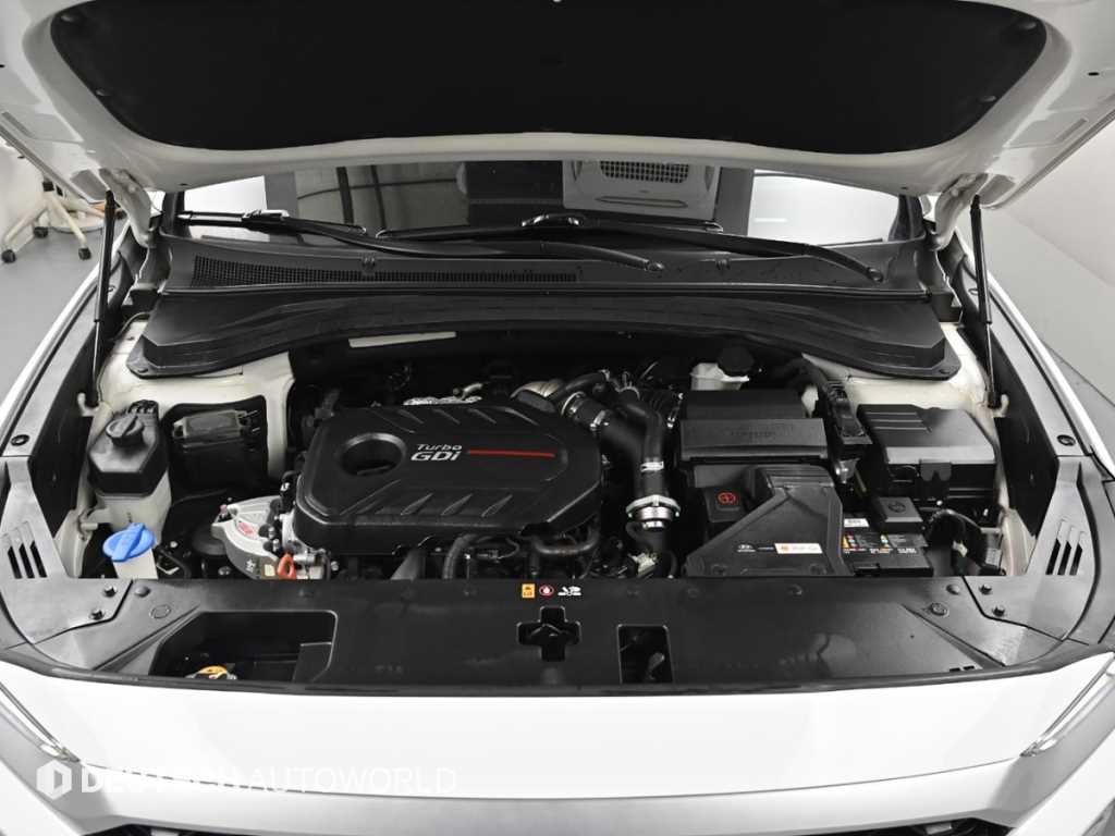 HYUNDAI Santa Fe - Vista 6