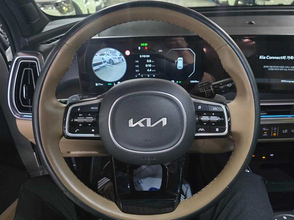 KIA Sorento - Vista 8