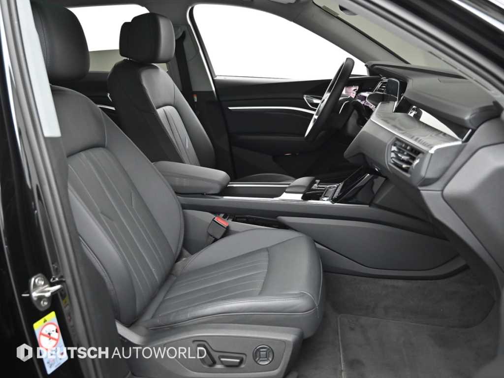 Audi e-Tron - Vista 10