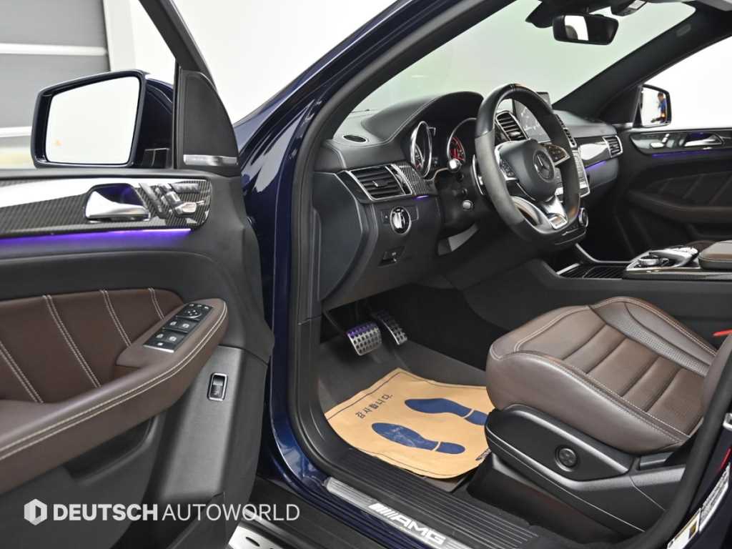 Mercedes Benz GLE Class - Vista 11