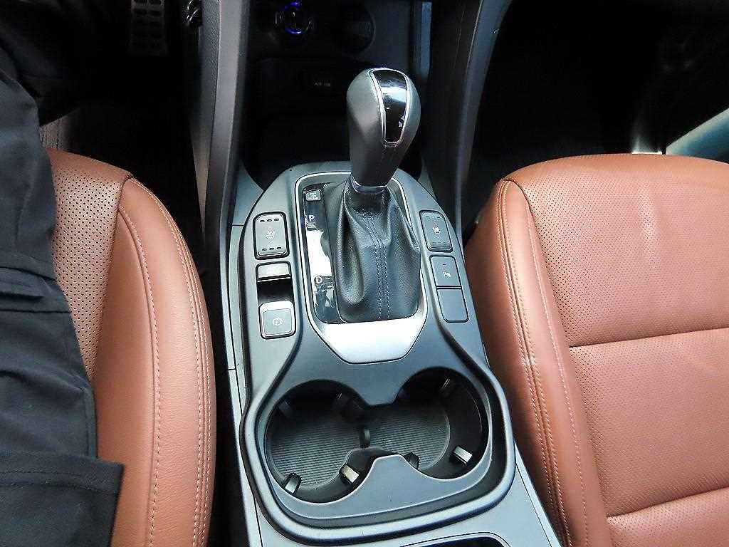 HYUNDAI Maxcruz - Vista 10