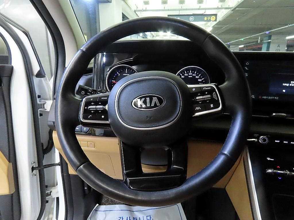 KIA Carnival - Vista 8