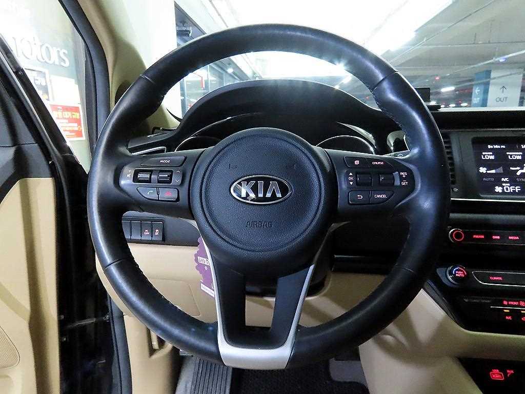 KIA Carnival - Vista 8