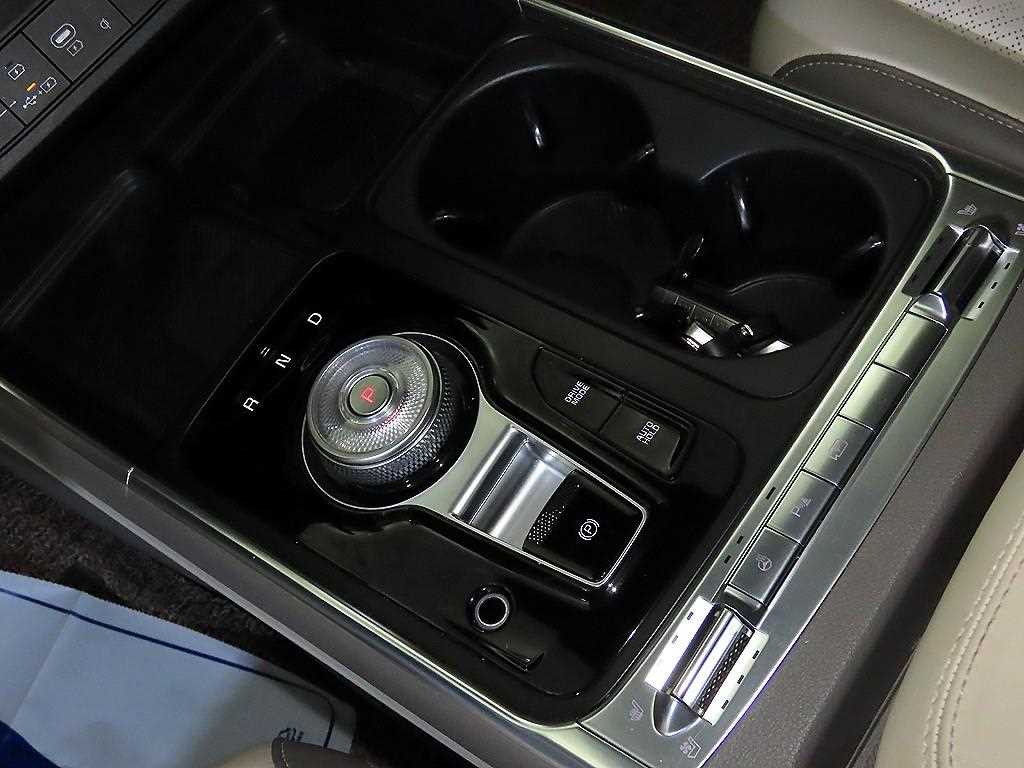 KIA Carnival - Vista 12