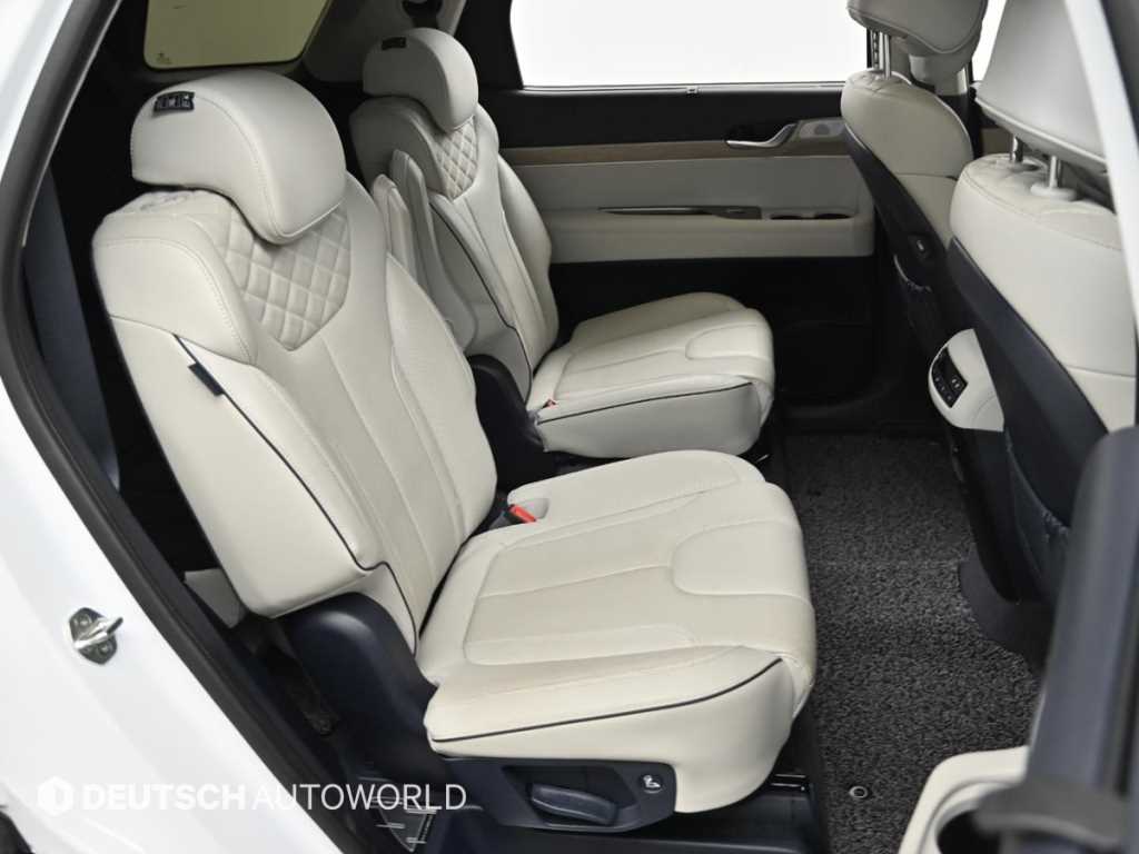 HYUNDAI Palisade - Vista 12