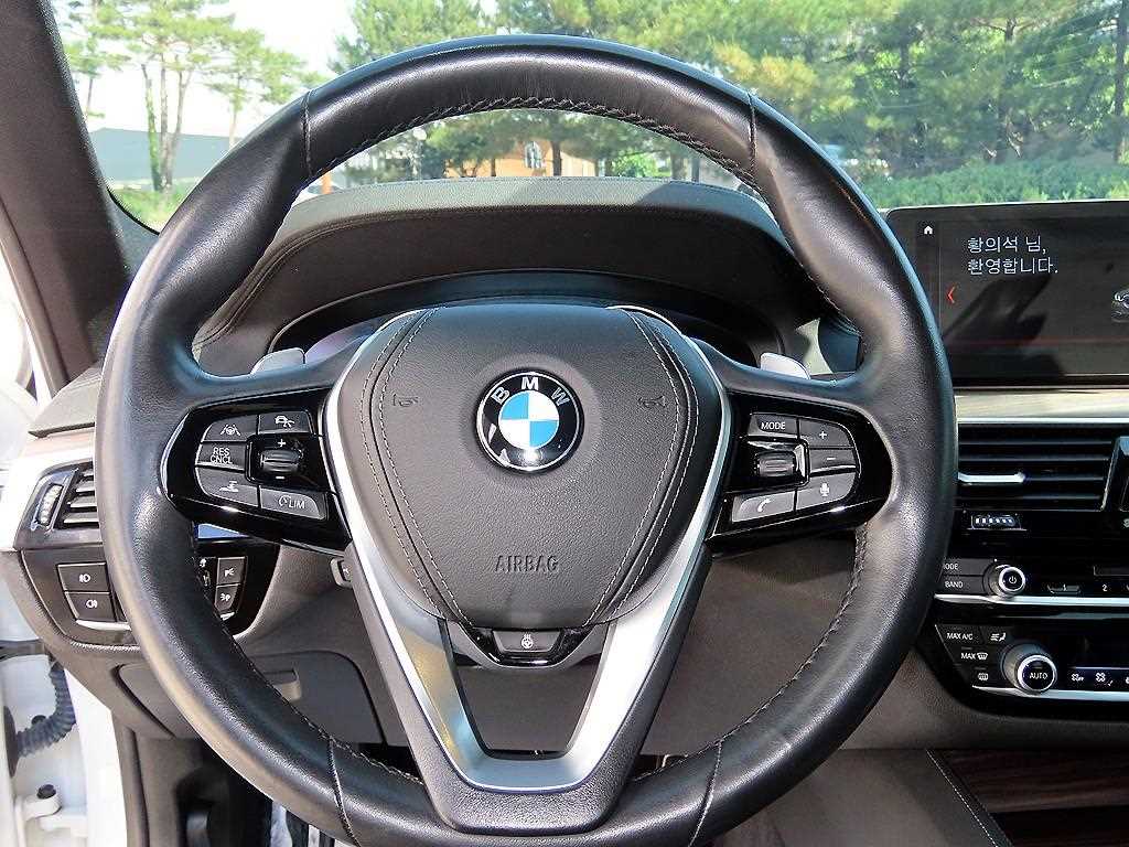 BMW 5 Series - Vista 8