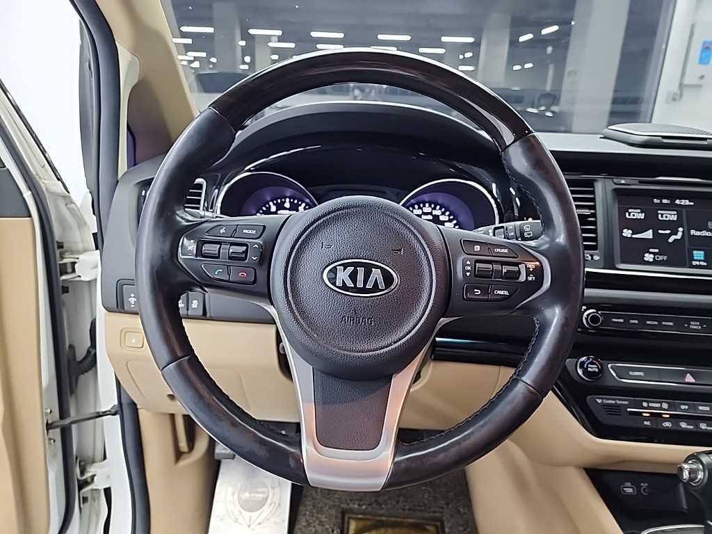 KIA Carnival - Vista 9