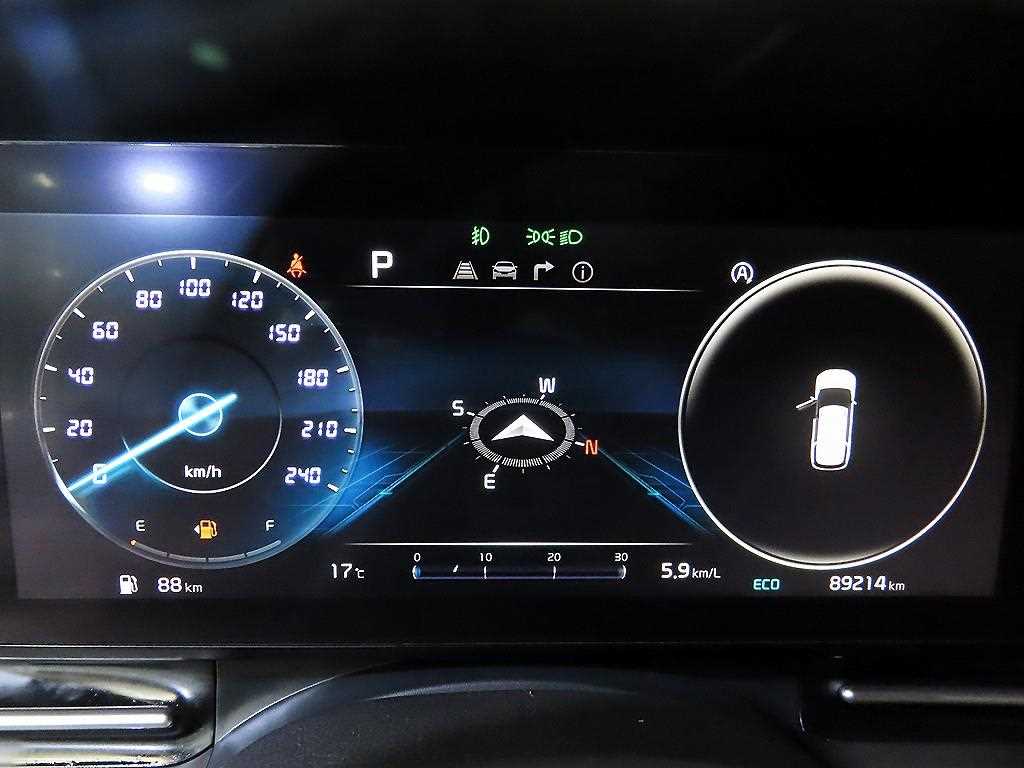 KIA Carnival - Vista 9