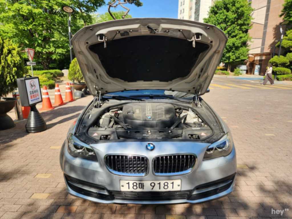 BMW 5 Series - Vista 6