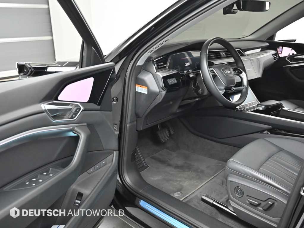 Audi e-Tron - Vista 11