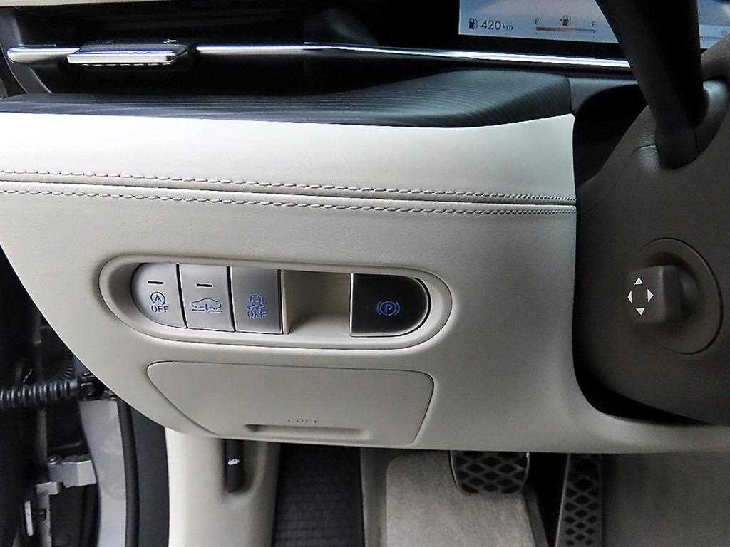 Genesis G90 - Vista 12