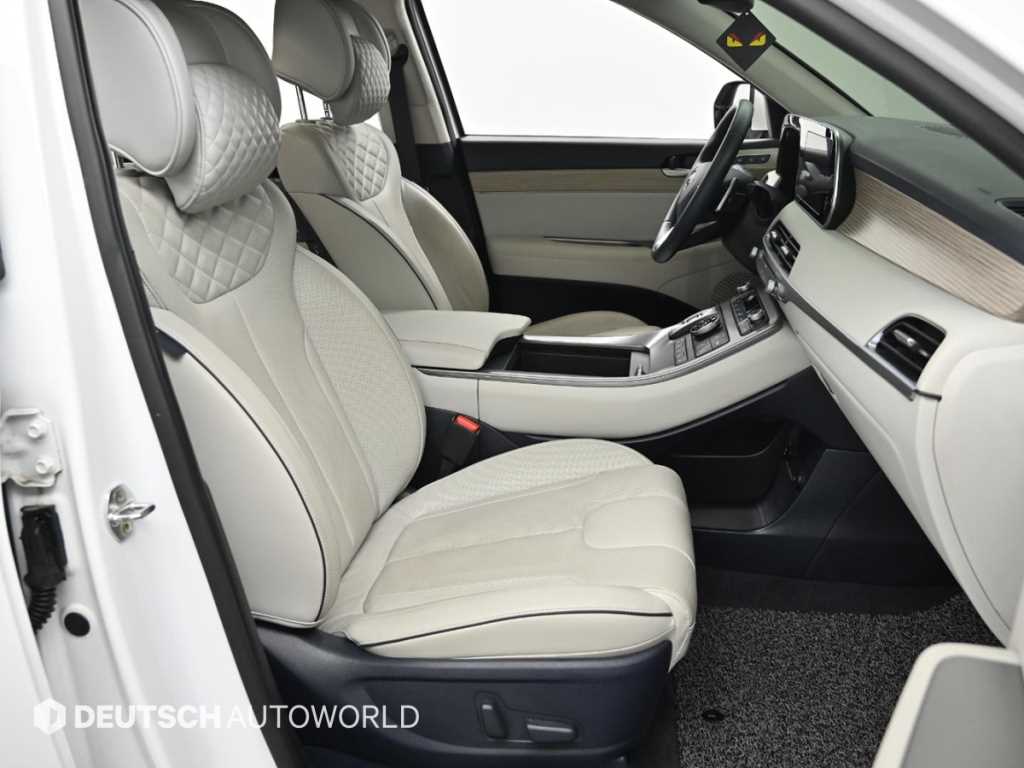 HYUNDAI Palisade - Vista 10