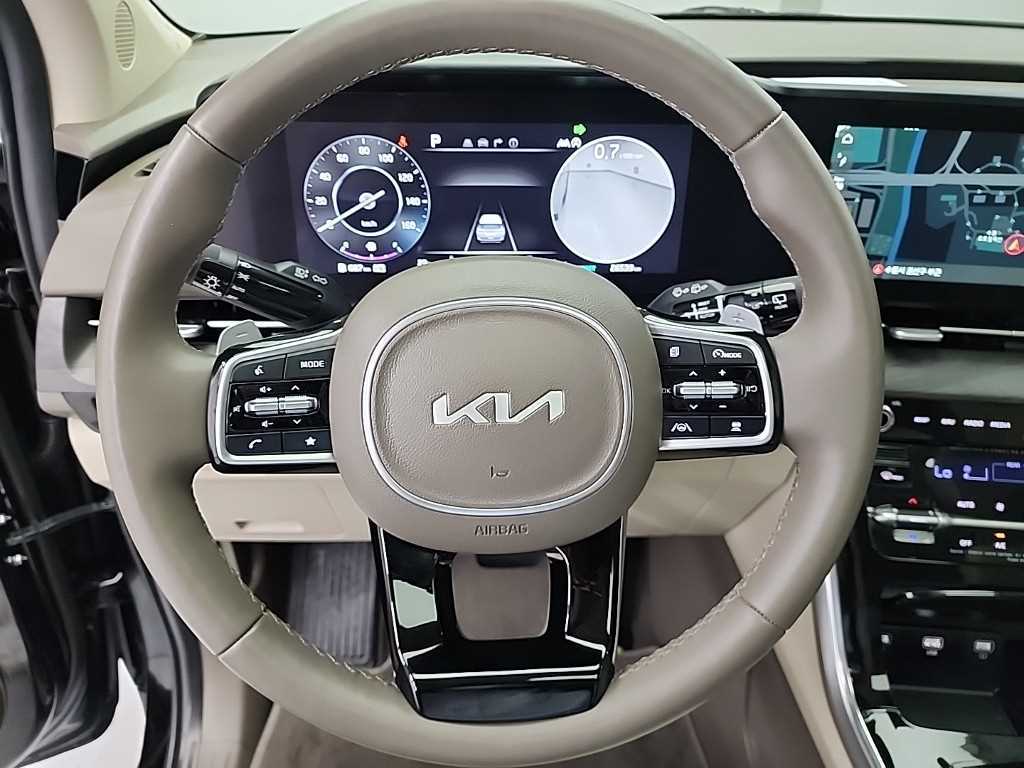 KIA Carnival - Vista 9