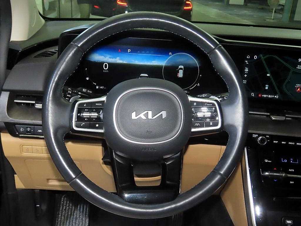 KIA Carnival - Vista 8