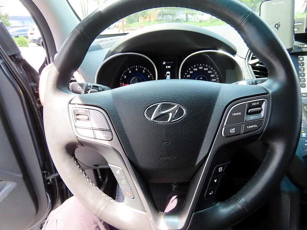 HYUNDAI Maxcruz - Vista 8