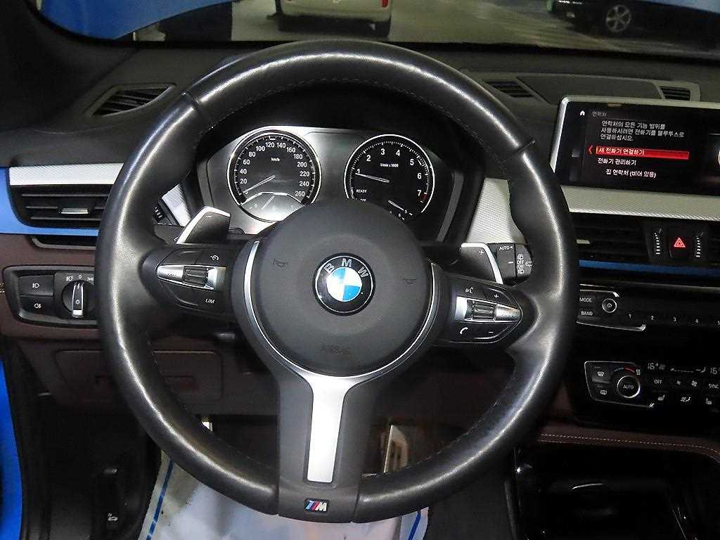 BMW X1 - Vista 8