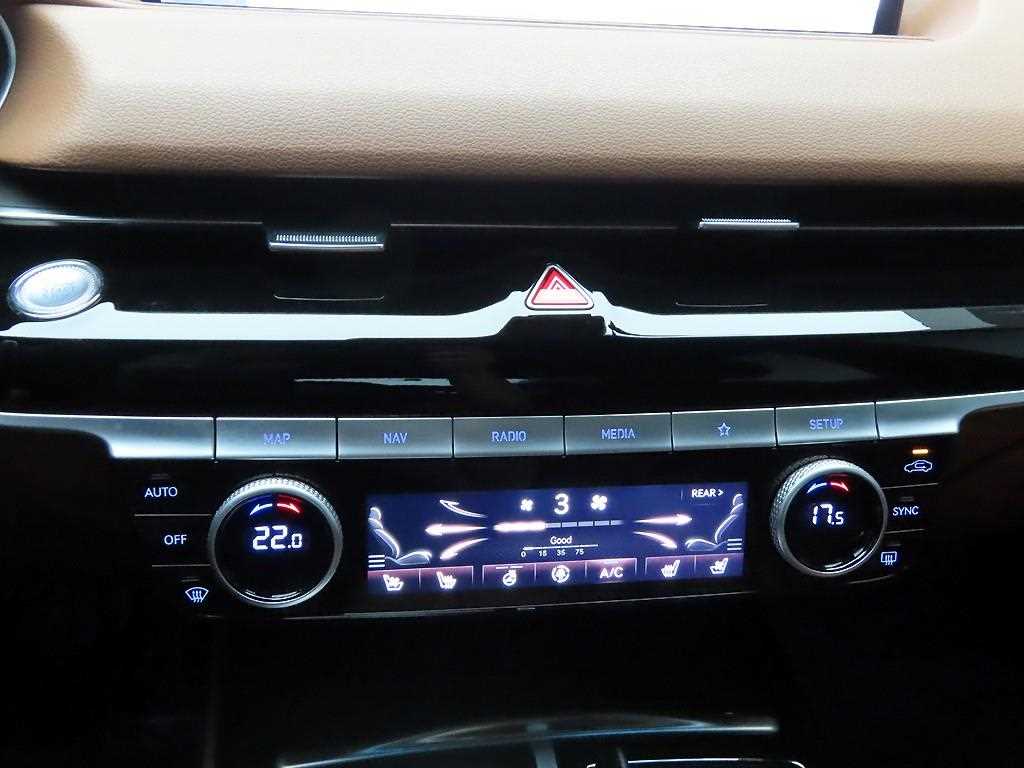 Genesis G80 - Vista 9
