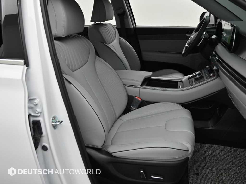 HYUNDAI Palisade - Vista 10