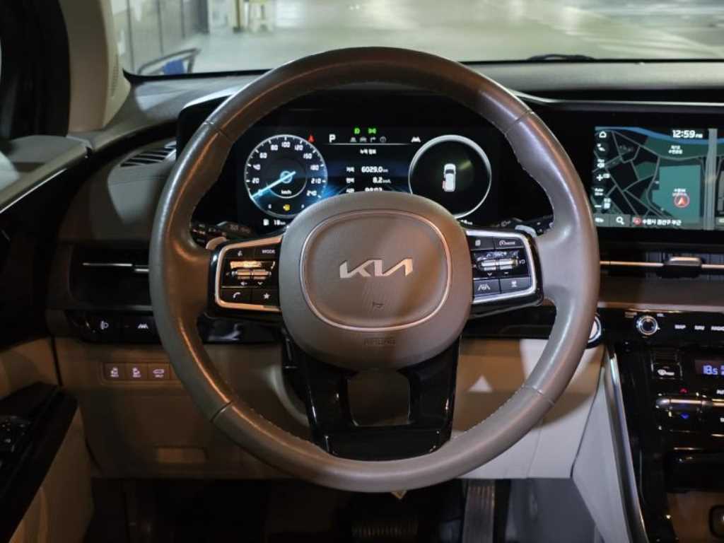 KIA Carnival - Vista 12