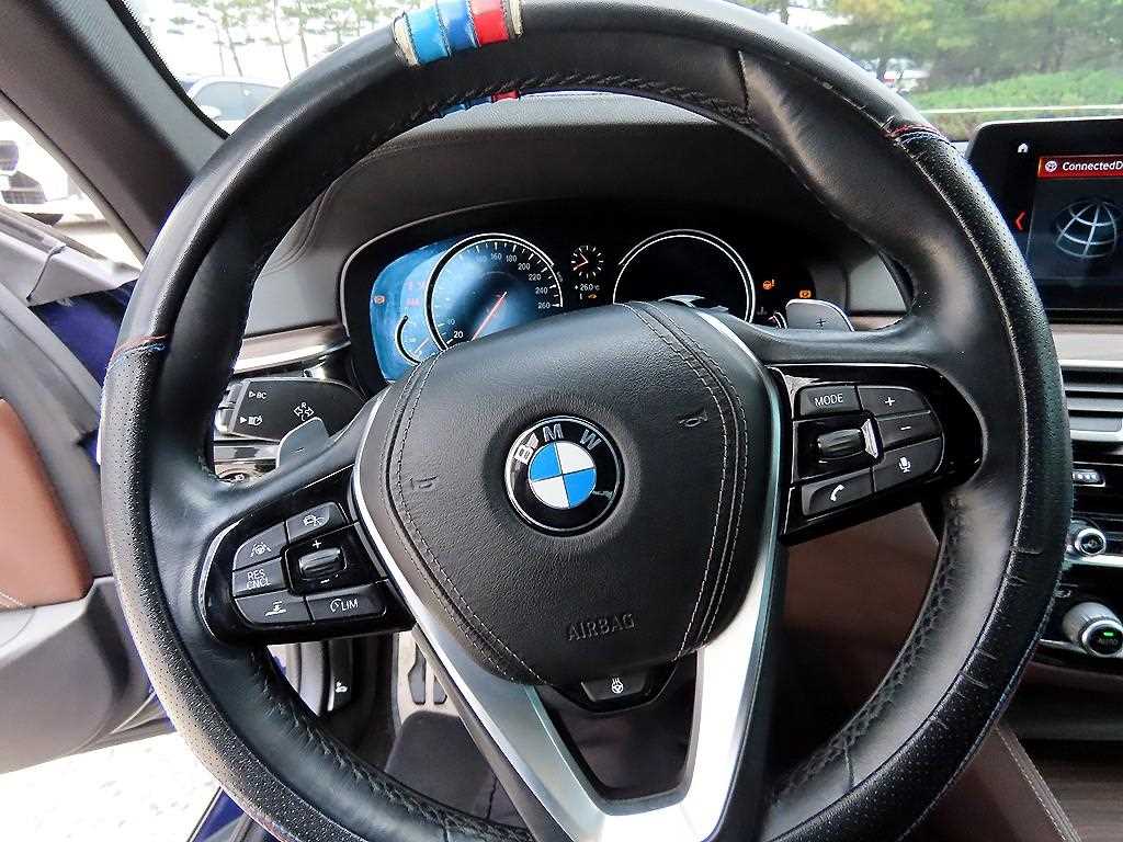BMW 5 Series - Vista 8