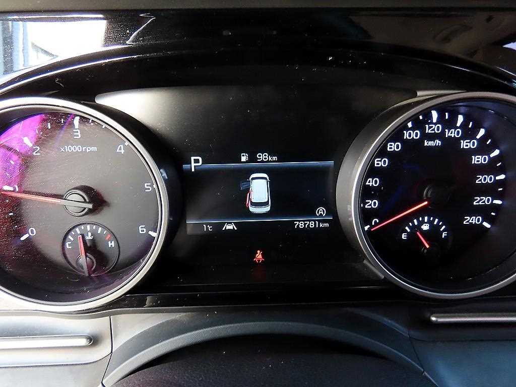 KIA Carnival - Vista 10