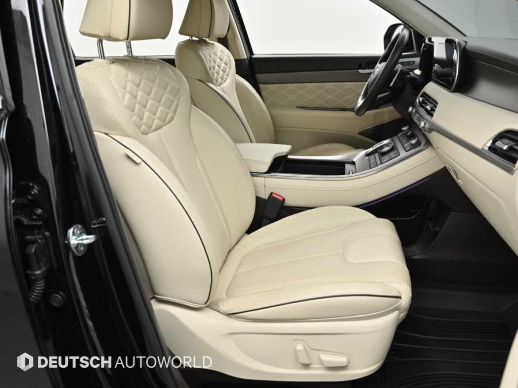 HYUNDAI Palisade - Vista 10
