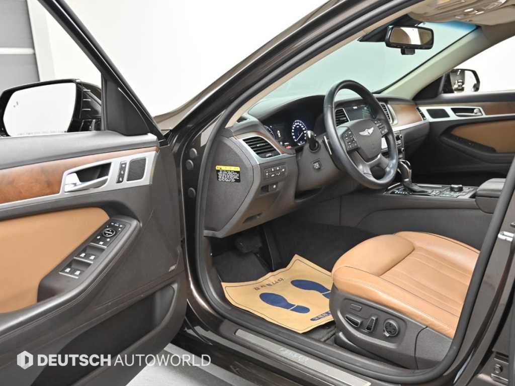 HYUNDAI Genesis - Vista 11