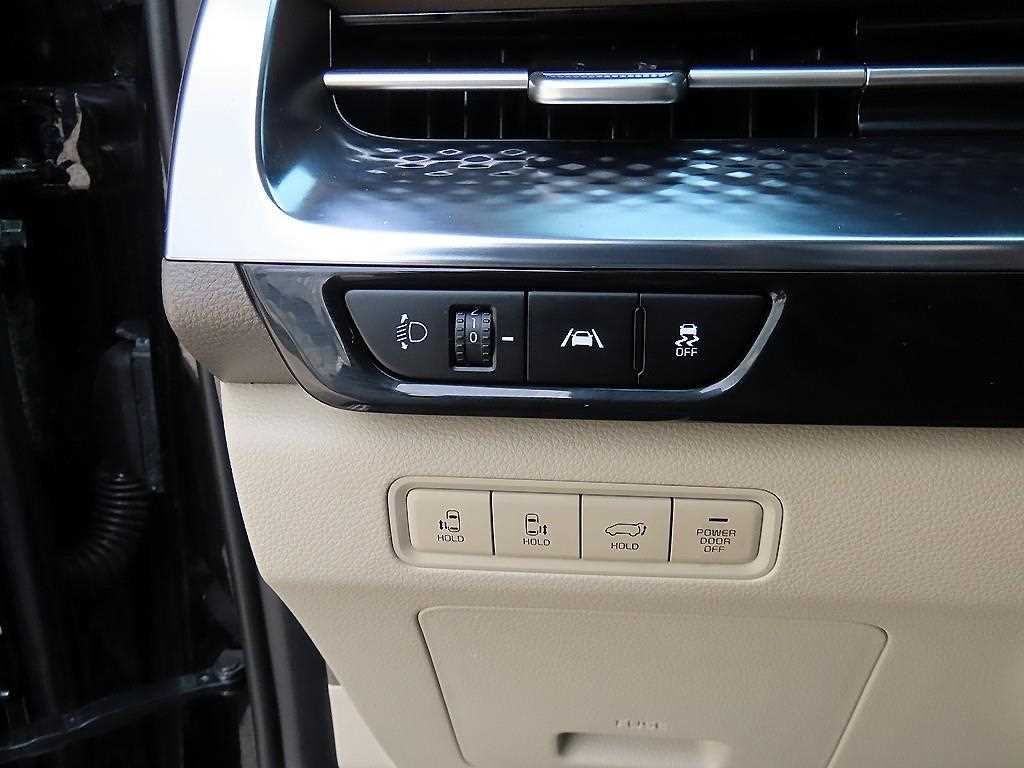 KIA Carnival - Vista 12