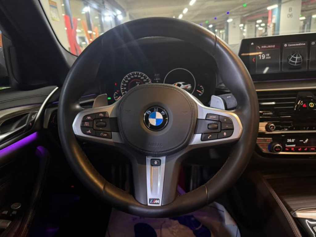 BMW 5 Series - Vista 8