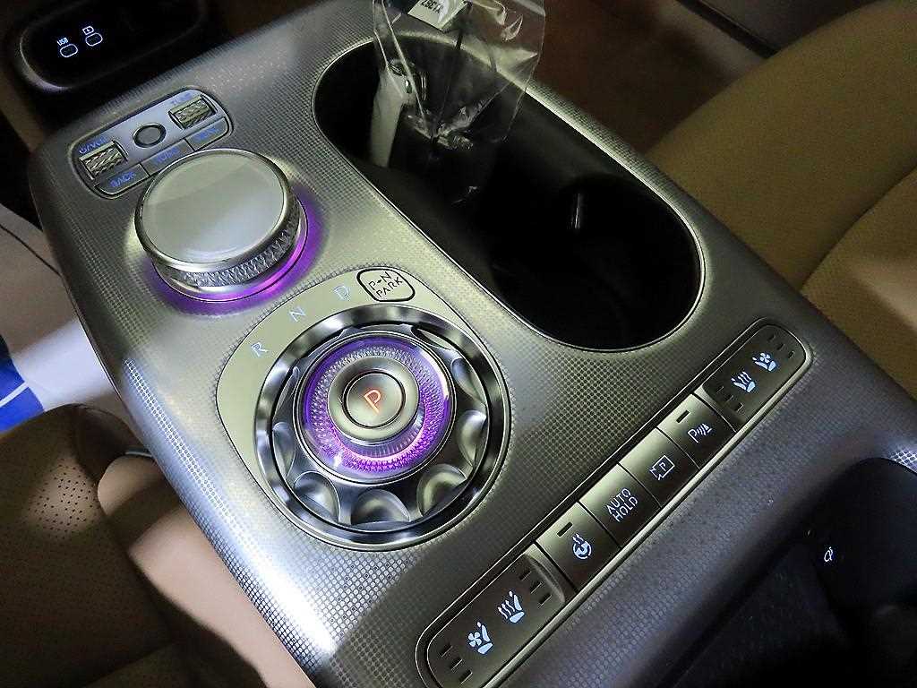 Genesis GV60 - Vista 12